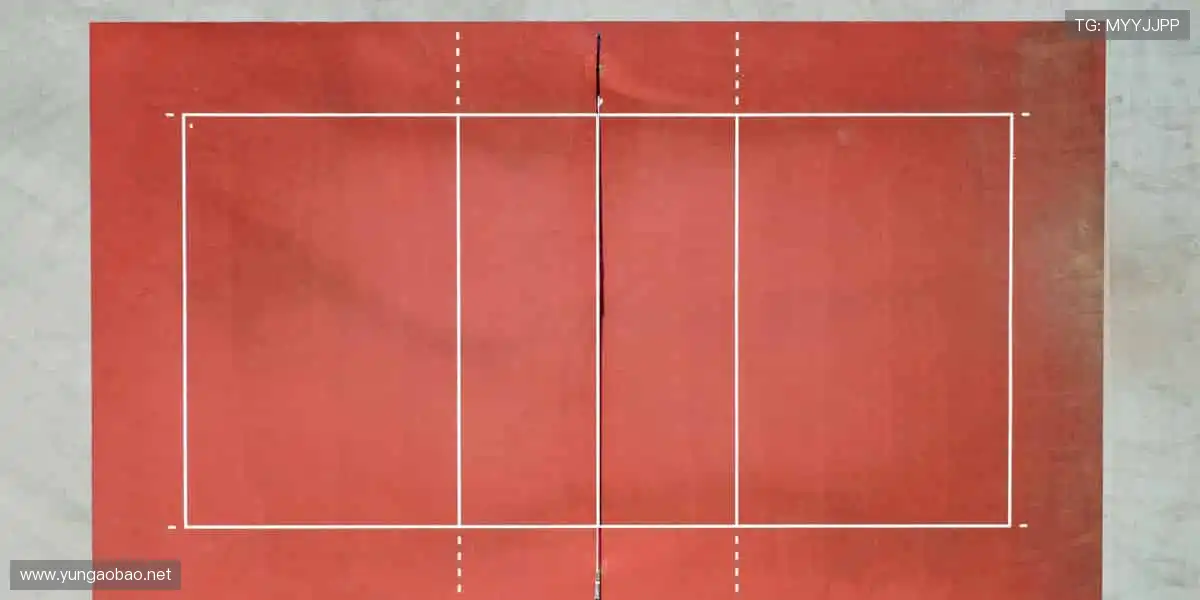 💻【直播平台】实时弹幕互动，你不是一个人在观赛！